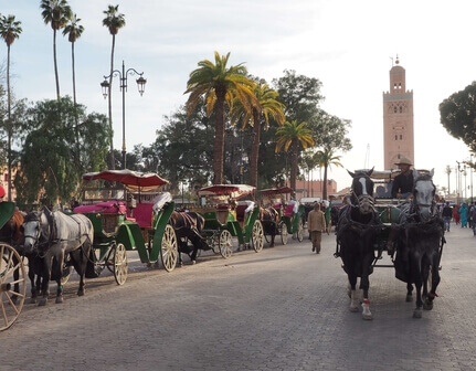 Voyage Marrakech