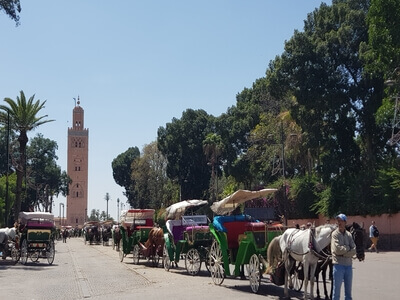 excursion marrakech