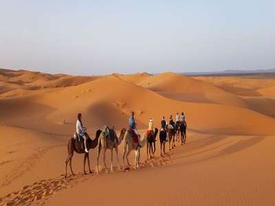 voyage en chameau maroc