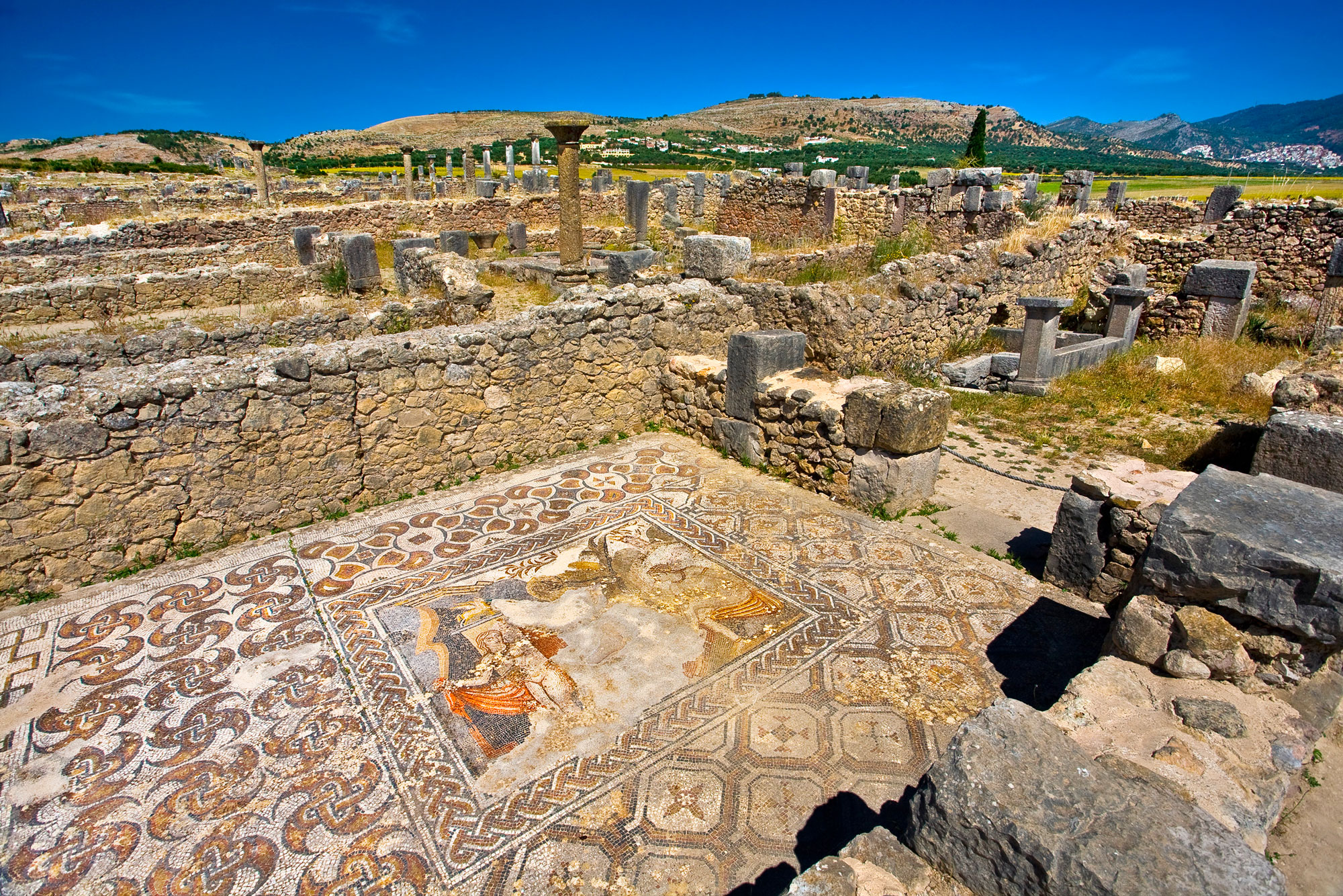 Volubilis-2